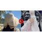 👒 50% OFF NOW ! 💐 Women's Bowknot Wide Brim Sun Protective Hat – Oversized wide brim blocks UV rays, delicate bow decor, lightweight breathable fabric, ideal for beach, travel & outdoor walking✨