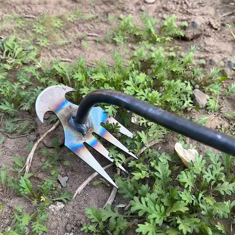 3 in 1 Weeding Wire Brush Tools Set