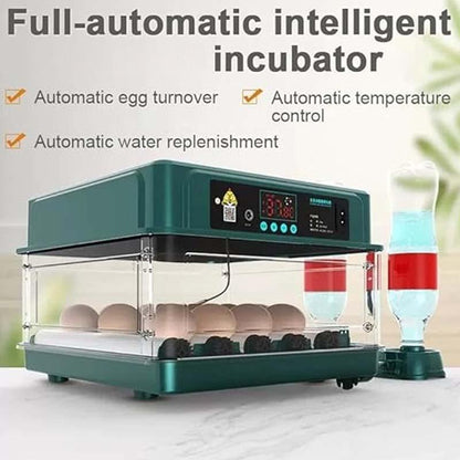 Automatic Incubator with Temperature Control