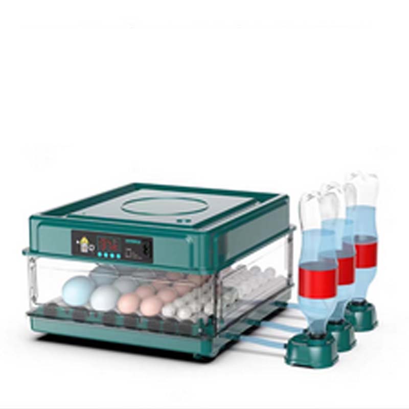 Automatic Incubator with Temperature Control