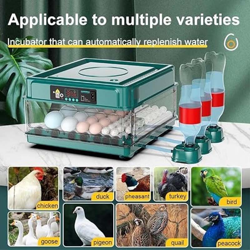 Automatic Incubator with Temperature Control