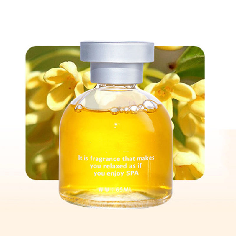 ⚡ Hot Savings 🔥Long Lasting Car Perfume