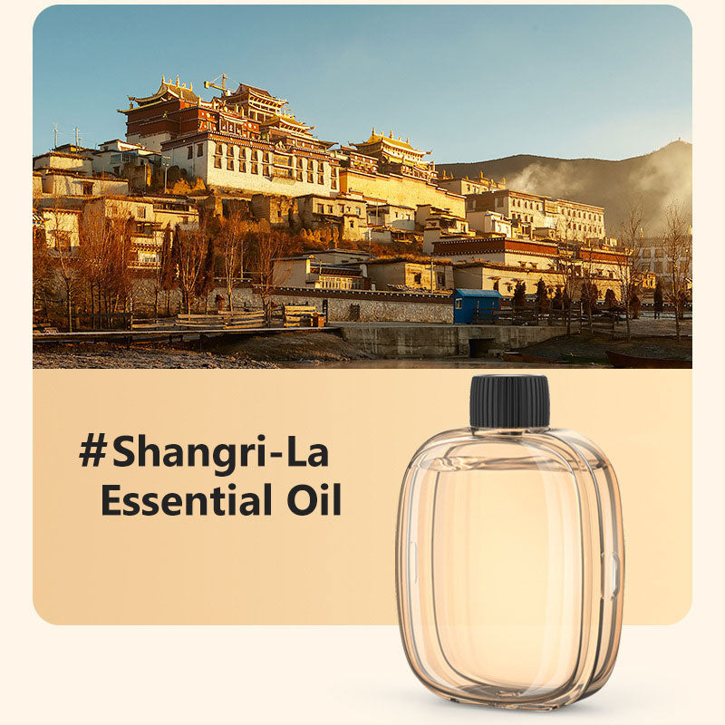 🥳2026 HOT SALE🥳💞50K+ SOLD! 🌸 50% OFF NOW! 💨 Aromatherapy Diffuser – Automatic, soothing & gift-ready ✨