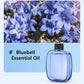 🥳2026 HOT SALE🥳💞50K+ SOLD! 🌸 50% OFF NOW! 💨 Aromatherapy Diffuser – Automatic, soothing & gift-ready ✨