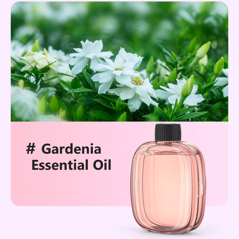 🥳2026 HOT SALE🥳💞50K+ SOLD! 🌸 50% OFF NOW! 💨 Aromatherapy Diffuser – Automatic, soothing & gift-ready ✨